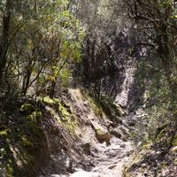 Photo de France - La randonnée du lac des Olivettes